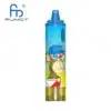 RandM Tornado 15000 Puffs Disposable Vape